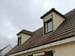 Nettoyage et démoussage de toiture et façade 60